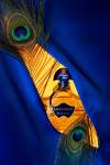 Mei CHOLET - MSC